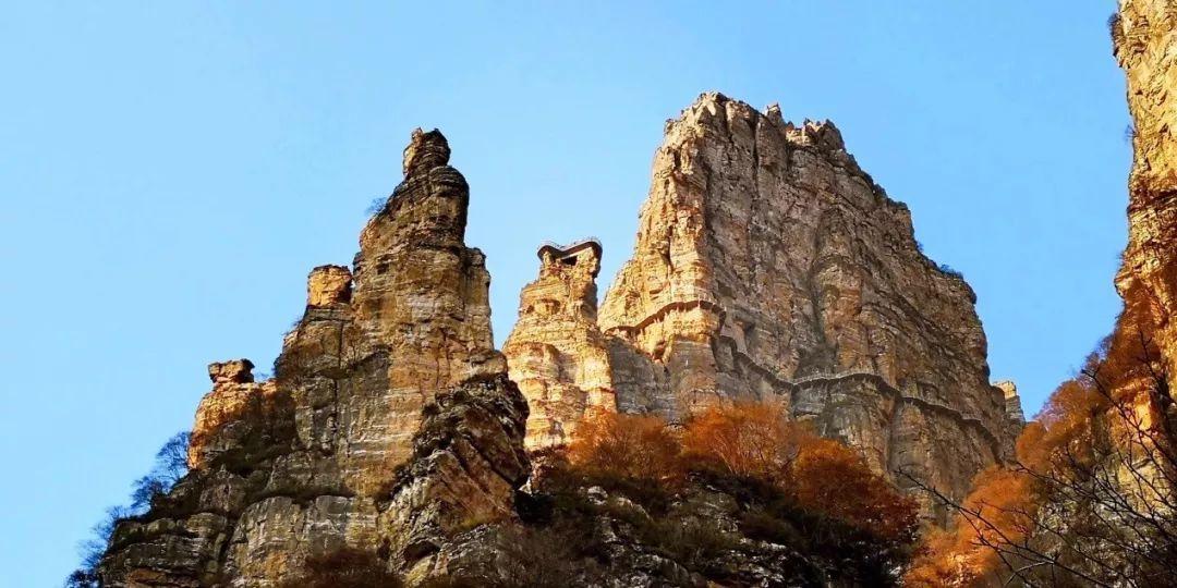 虫虫助手下载