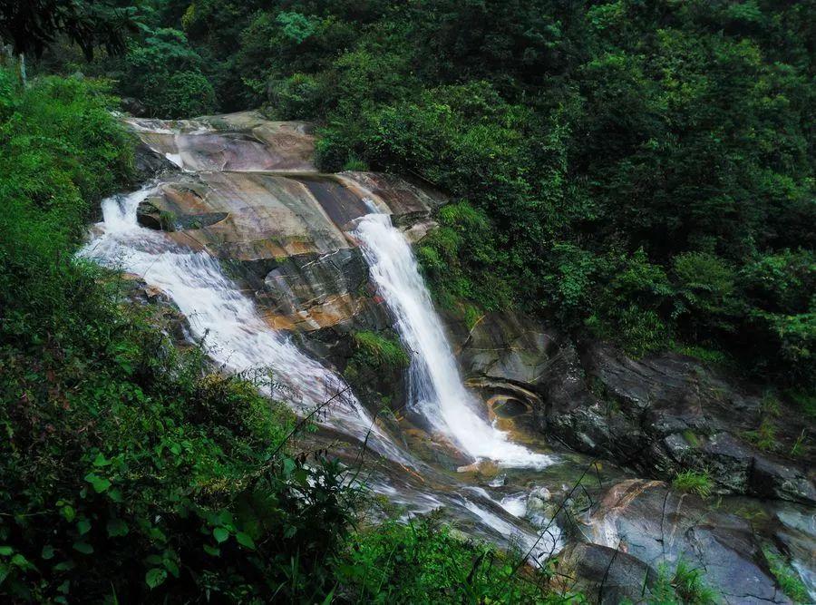 僵尸敲方块